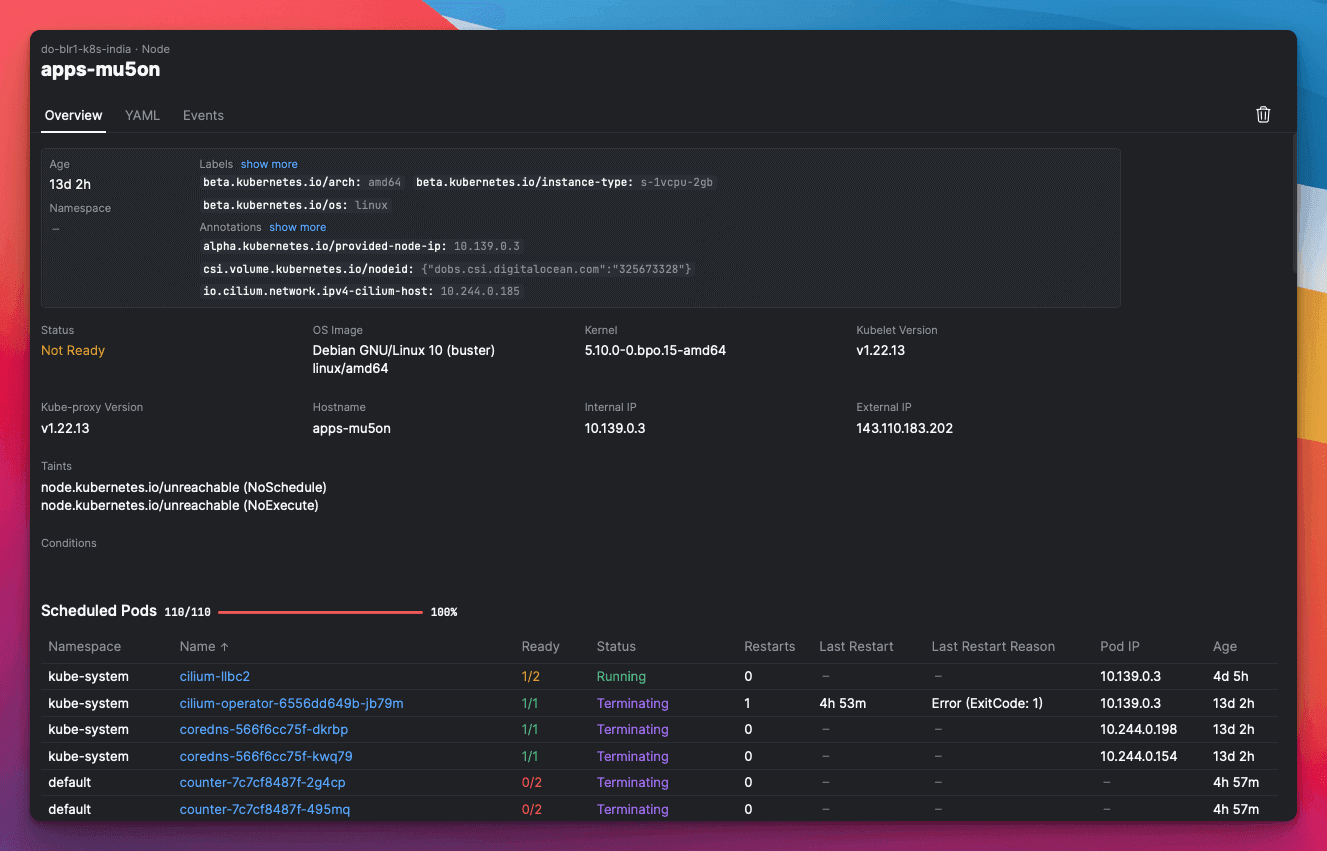 Screenshot of Aptakube's view of a cluster node